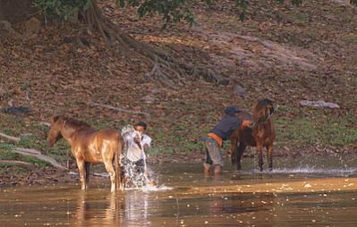 Name:  DSC00975-2.jpg
Views: 1424
Size:  24.5 KB