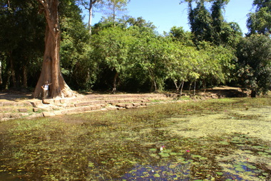 Name:  DSC01130-1.JPG
Views: 1778
Size:  69.8 KB