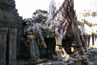 Name:  DSC01173-1.JPG
Views: 1720
Size:  54.0 KB