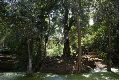 Name:  DSC01212.JPG
Views: 1622
Size:  62.8 KB