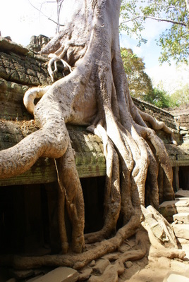 Name:  DSC01250.JPG
Views: 1880
Size:  62.3 KB