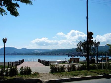 Name:  vildannye.jpg
Views: 3012
Size:  38.4 KB
