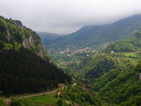 Name:  vildanzigana.jpg
Views: 2647
Size:  37.1 KB