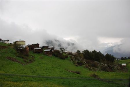 Name:  gllDSC_0048.jpg
Views: 3504
Size:  27.4 KB