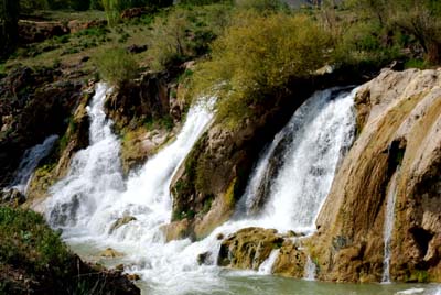 Name:  DSC20015.jpg
Views: 3290
Size:  48.7 KB