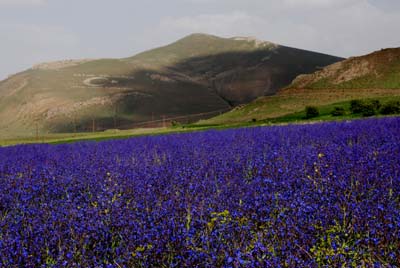 Name:  DSC20111.jpg
Views: 2901
Size:  41.0 KB