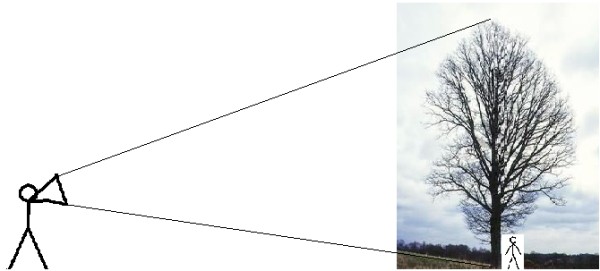 Name:  adsz (600 x 271).jpg
Views: 6906
Size:  28.6 KB