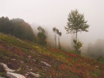 Name:  yuvackvildan067.jpg
Views: 3160
Size:  27.1 KB