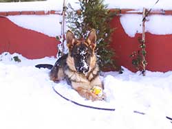Name:  Picture 062.jpg
Views: 1646
Size:  30.8 KB