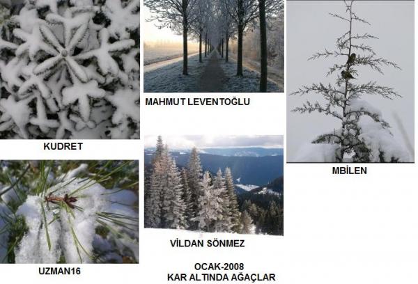 Name:  GENEL OCAK.jpg
Views: 2192
Size:  43.5 KB