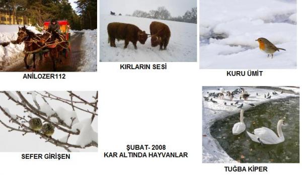 Name:  GENEL UBAT.jpg
Views: 2176
Size:  33.4 KB