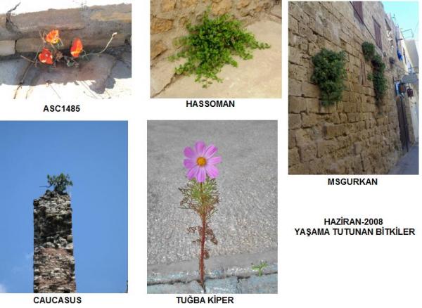 Name:  GENEL HAZRAN.jpg
Views: 2108
Size:  41.8 KB
