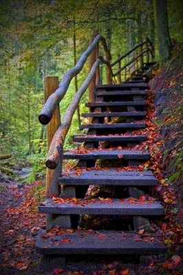 Name:  111.jpg
Views: 3217
Size:  57.9 KB