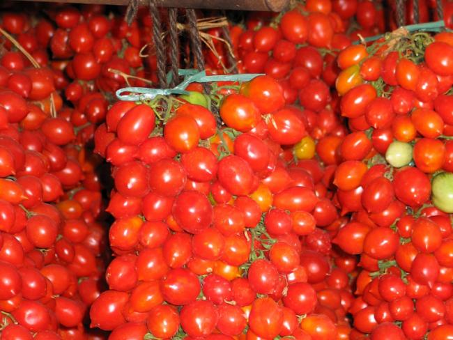 Name:  Pomodori 1.jpg
Views: 5879
Size:  57.1 KB