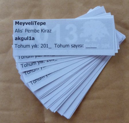 Name:  kesilmi etiket.jpg
Views: 1059
Size:  33.7 KB