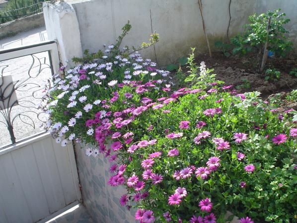 Name:  Resim 018.jpg
Views: 2435
Size:  70.9 KB