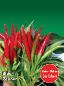 Name:  biber-sus-biberi-yukari-bakan.jpg
Views: 1442
Size:  15.1 KB