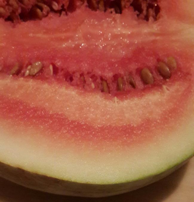 Name:  20140818_203452-1.jpg
Views: 1772
Size:  41.4 KB