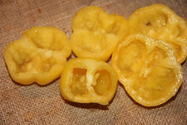 Name:  Doochova Yellow Pepper III.jpg
Views: 4824
Size:  41.9 KB