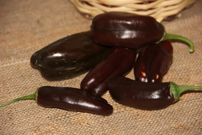 Name:  Georgescu Chocolate I.jpg
Views: 4512
Size:  41.5 KB