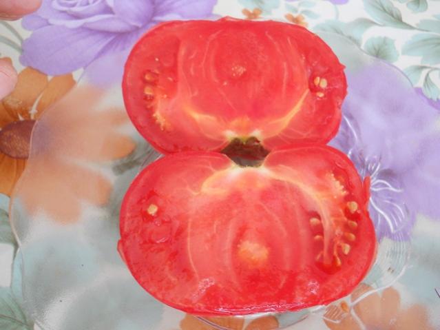 Name:  DSCN3379.jpg
Views: 2635
Size:  33.4 KB