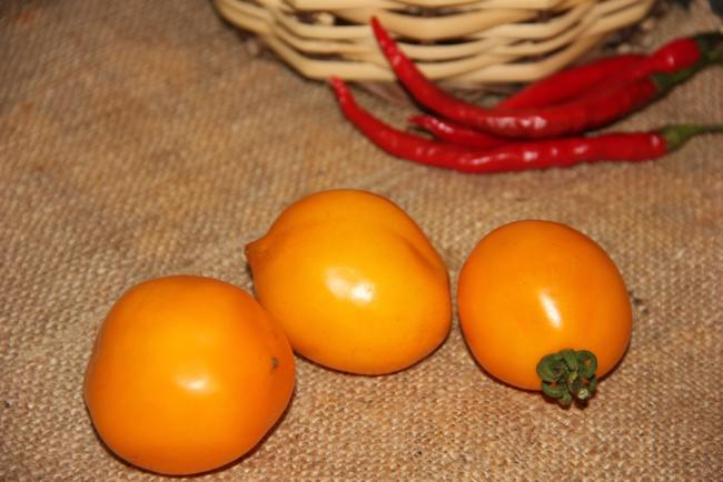 Name:  MeyveliTepe Limon II.jpg
Views: 1528
Size:  39.7 KB