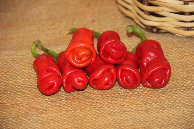 Name:  Peter Pepper IV.jpg
Views: 6994
Size:  47.3 KB