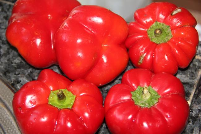 Name:  Kamber Biberi.jpg
Views: 2489
Size:  38.5 KB