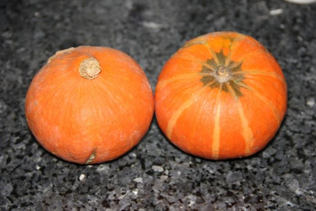 Name:  Red Kuri Squash.jpg
Views: 1412
Size:  40.4 KB