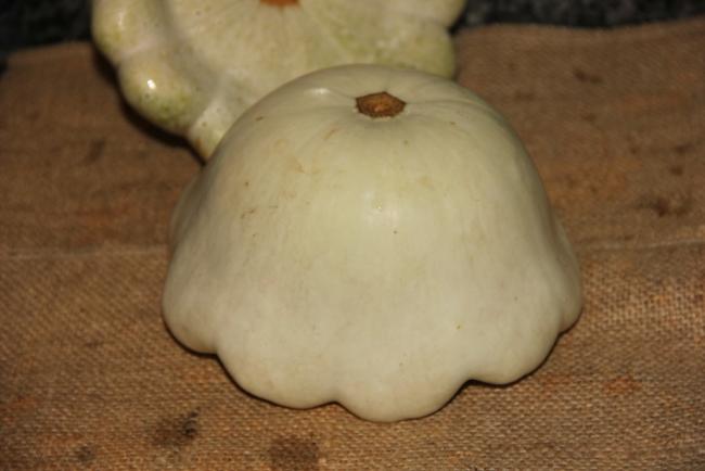 Name:  Scallop II.jpg
Views: 1382
Size:  28.3 KB