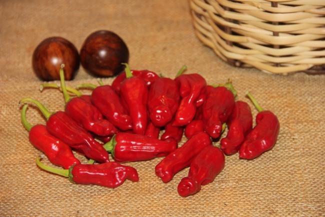 Name:  Italian Pepperoncini.jpg
Views: 1539
Size:  47.7 KB