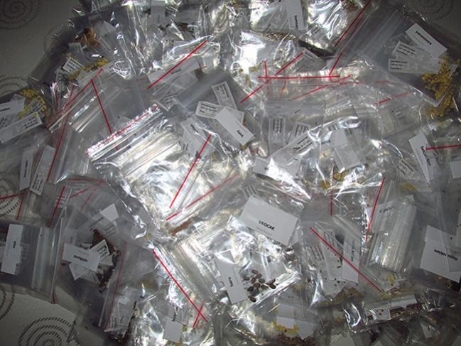 Name:  agaclar-tohum (4).jpg
Views: 687
Size:  62.0 KB