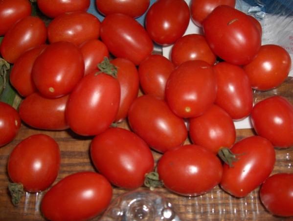 Name:  tomato_principeborghese.jpg
Views: 912
Size:  32.3 KB