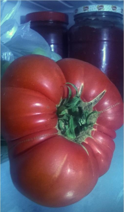 Name:  111.jpg
Views: 2563
Size:  41.5 KB