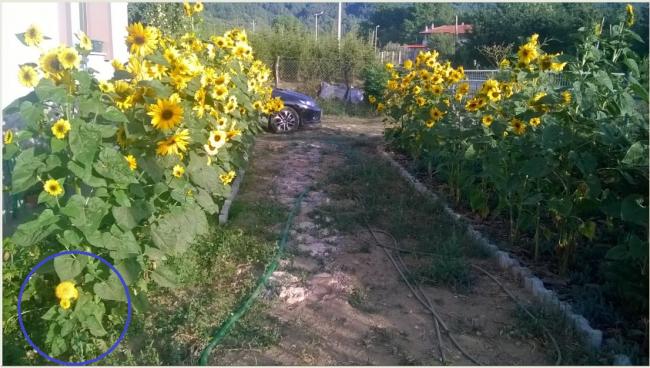 Name:  ayiei kopya.jpg
Views: 2482
Size:  56.3 KB