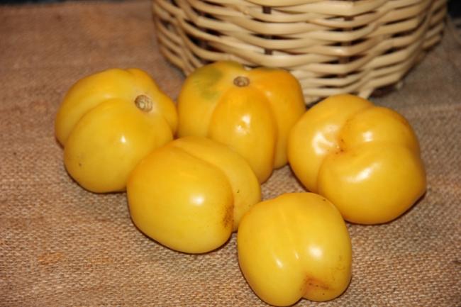 Name:  Doochova Yellow I.jpg
Views: 2106
Size:  37.1 KB