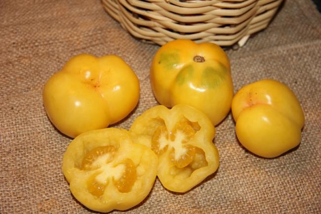 Name:  Doochova Yellow IV.jpg
Views: 2114
Size:  46.1 KB