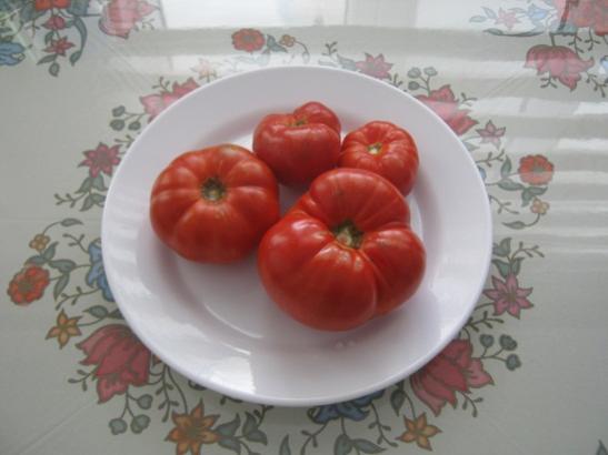Name:  domates--.jpg
Views: 1892
Size:  25.1 KB
