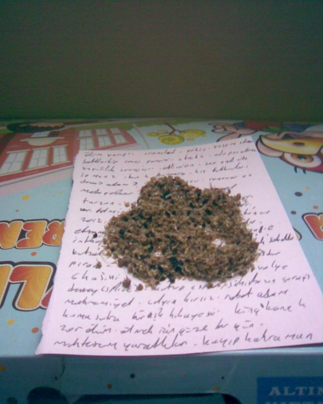 Name:  arpack soan tohumu (1).jpg
Views: 1557
Size:  55.6 KB