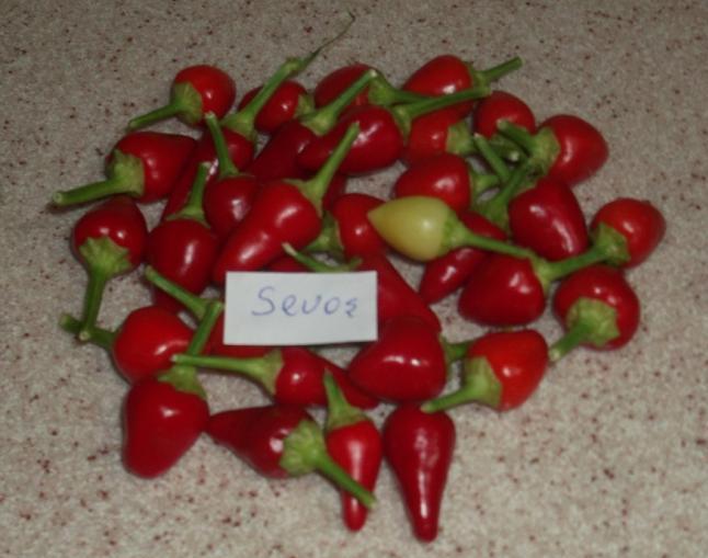 Name:  DSCF7920.jpg
Views: 2287
Size:  42.4 KB