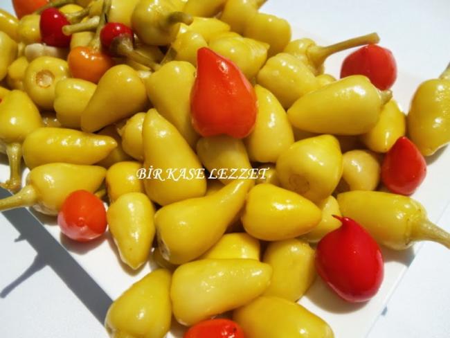 Name:  biberiye.jpg
Views: 725
Size:  38.3 KB