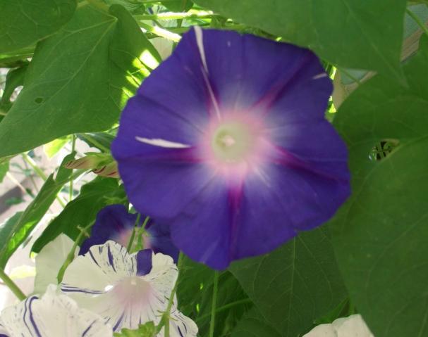 Name:  DSCF5829.jpg
Views: 1592
Size:  31.3 KB