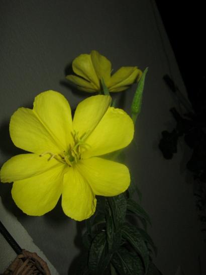 Name:  ezan ..jpg
Views: 1634
Size:  18.0 KB