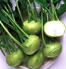 Name:  kohlrabi.jpg
Views: 1110
Size:  10.6 KB