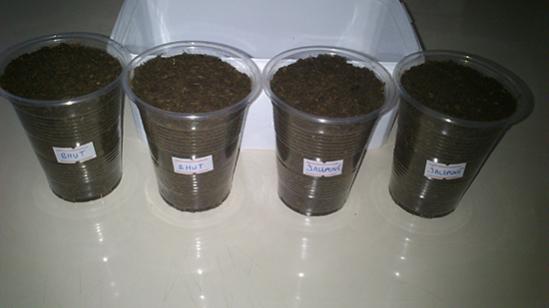 Name:  bhut_biber.jpg
Views: 3818
Size:  17.0 KB