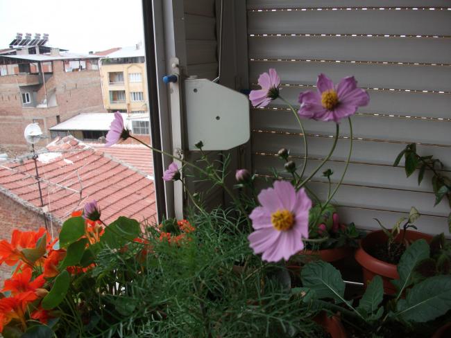 Name:  DSCF6752.jpg
Views: 632
Size:  51.9 KB