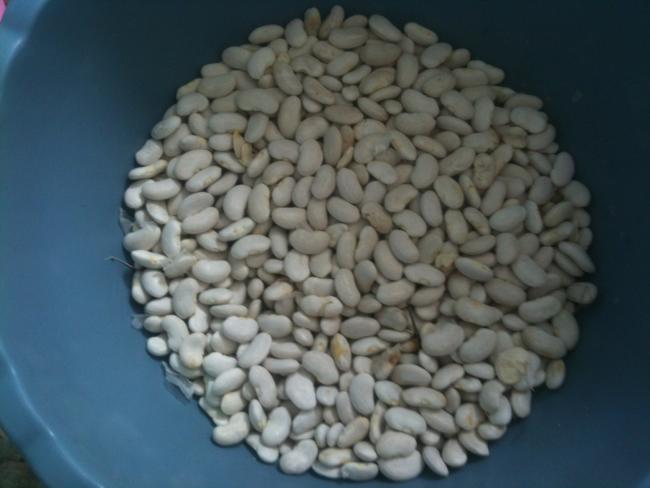 Name:  enberber.jpg
Views: 681
Size:  32.4 KB