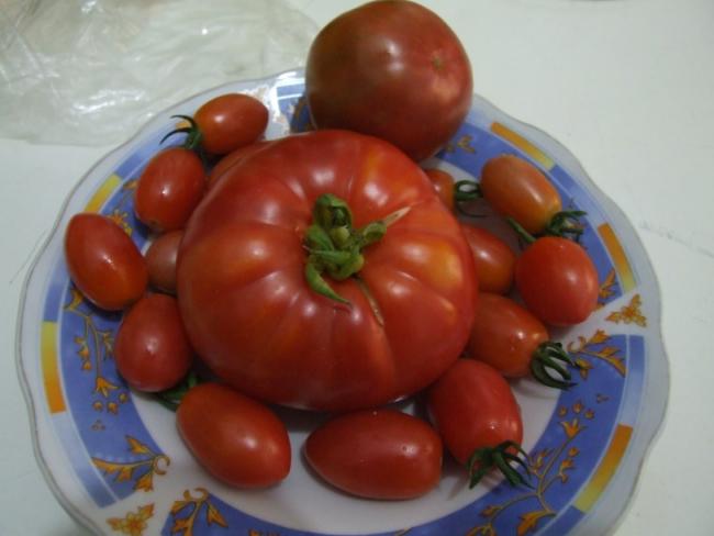 Name:  DSCF4688.jpg
Views: 709
Size:  30.4 KB