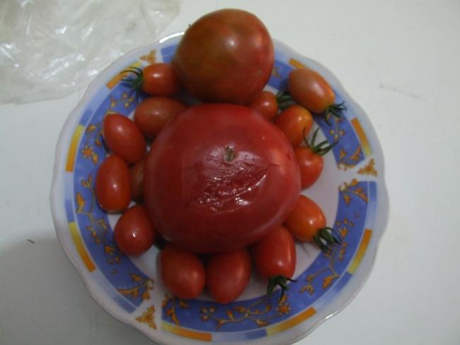 Name:  DSCF4689.jpg
Views: 667
Size:  26.0 KB
