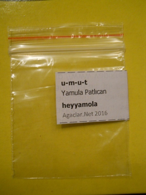 Name:  DSCN7736.JPG
Views: 1083
Size:  68.5 KB